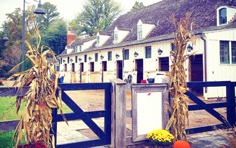 meadowbrook-stables-in-fall