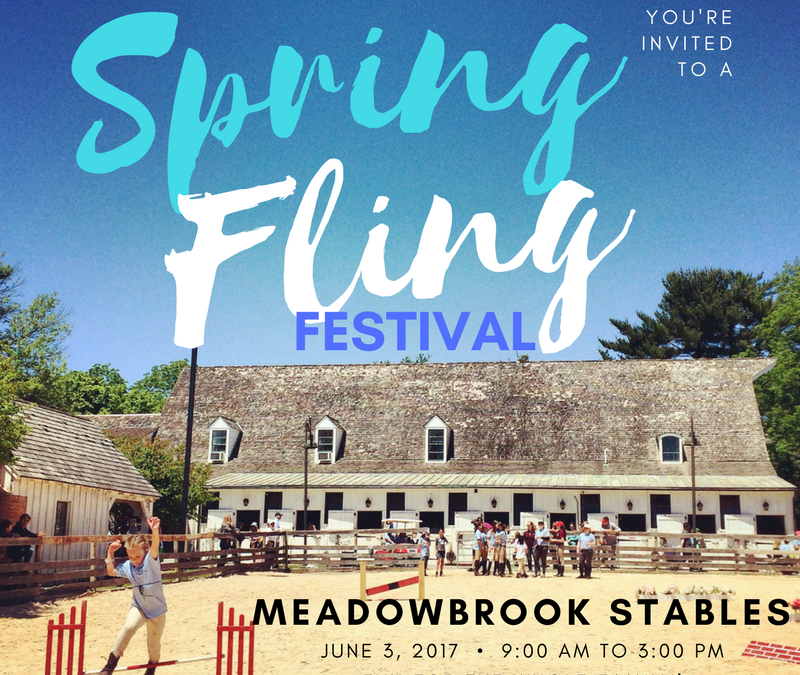Spring Fling Festival 2017